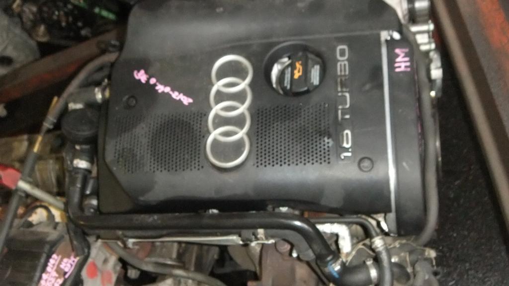  Audi AMB :  1